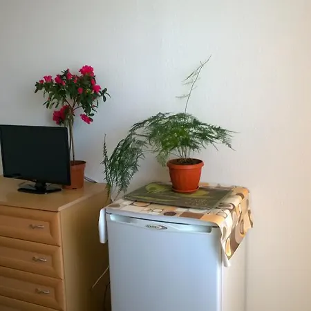 House Of Flowers 3* Ahtopol