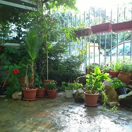 Affittacamere House Of Flowers